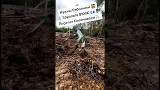 Работа в Европе #вакансии #работавевропе