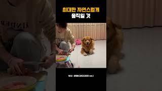 최대한 자연스럽게 움직일 것