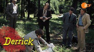 Derrick. Staffel 3, Folge 9: Tote im Wald