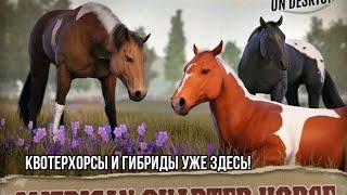 Квотерхорсы и гибриды | Rival Stars Horse Racing