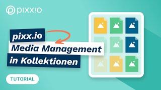 Media Management in Kollektionen – Tutorial: pixx.io beendet das Bilderchaos