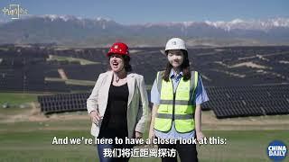 In Xinjiang, sheep can be found under photovoltaic panels.