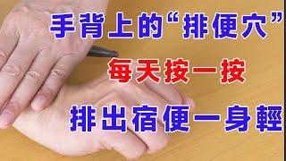 手背上有1個自帶的“排便穴”，每天按一按，幫助排出宿便【絡穴養生課堂】