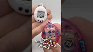たまごっち シャカシャカチャームコレクション　　　#たまごっち　#ガチャガチャ #ガチャポン #カプセルトイ #ミニチュア