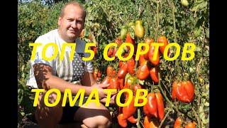 Топ 5 розовоплодных сортов томатов #топ5томатов