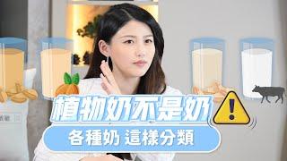 植物奶真面目   有「奶」字就代表很營養?   燕麥奶 鮮奶 豆奶 米奶 榛果奶  一起分析了解  自己適合哪個｜一分鐘給你營養師大腦