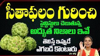 ఈ ఒక్క పండు తింటే ఎన్ని లాభాలో తెలుసా? | Custard apple benefits in telugu | Health Tips In Telugu