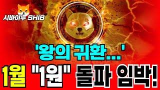 [시바이누 코인 전망] 1원 돌파 임박! 2025년 밈코인 대장의 귀환! 무조건 필수시청!