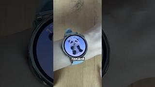 Обзор HUAWEI Watch GT 5 41mm