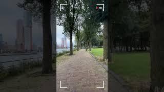 Rotterdam Walk #explorethecity #exploretheworld #explorer #exploremore #exploreshorts #walkingtour