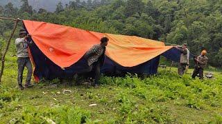 Shepherd Making A New shelter (cowshed ) in Mountain|| Nepali Village Lifestyle || VillageLifeNepal