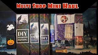 Multi Shop Mini Haul! MYOWA,  Ephemera3D,  ZodiacShadows,  Raven Diamond Art,  & #temu !