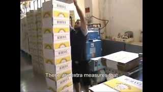 Taybeh Brewery Documentary: Beer in the Palestinian West Bank