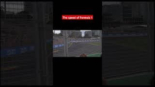 The speed of Formula 1 #formula1 #f1 #f1shorts #melbourne #australia