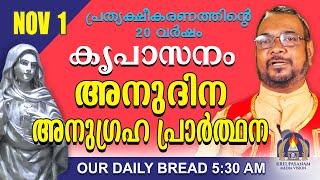 നവംബർ 01 | കൃപാസനം അനുദിന അനുഗ്രഹ പ്രാർത്ഥന | Our Daily Bread |പ്രത്യക്ഷീകരണത്തിന്റെ ഇരുപതാം വർഷം.