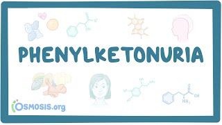 Phenylketonuria - causes, symptoms, diagnosis, treatment, pathology