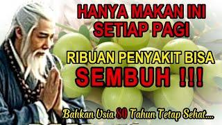 Ribuan Penyakit Sembuh Hanya Makan Ini Setiap Pagi (Rahasia Tubuh Sehat)