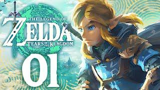 ZELDA TEARS OF THE KINGDOM #1 | UNE NOUVELLE AVENTURE COMMENCE !