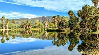 Walking in Agua Caliente Park: August 14, 2022