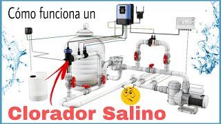 CÓMO FUNCIONA UN CLORADOR SALINO | PISCINAS DE AGUA SALADA