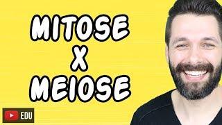 MITOSE E MEIOSE - Diferenças | Biologia com Samuel Cunha