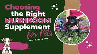 Choosing the Right Mushroom Supplement for Pets with Krysta Fox of Pug & Hound Pet Apothecary