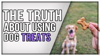 Is Treat Training Bad? Why I Use Food Instead Of Force For Training Dogs.