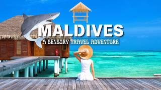 Escape to the Maldives: A Sensory Travel Adventure