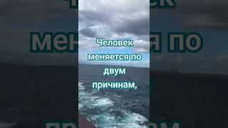 Сильная цитата о сути человека.