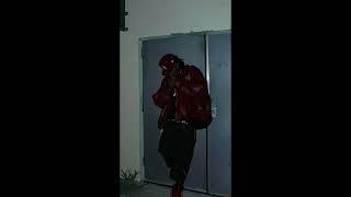 [free] playboi carti x cardo got wings x lancey foux type beat - karryon (prod ripferraz)