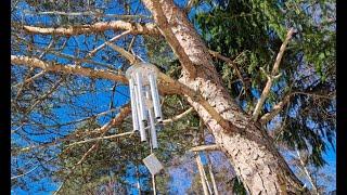 Nordic Wind Chimes - 1 hour Nature Sounds Healing & Meditation with #windchimes