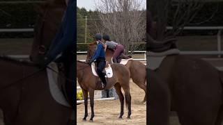 pretty ponyyyy || #rideforaaron #horse #rideforbubba #equestrian #hunterjumper