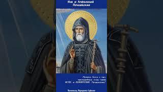 Преподобные ИОВ и АМФИЛОХИЙ Почаевские #икона#ікона #icon #ikona  #почаев #иовпочаевский #амфилохий