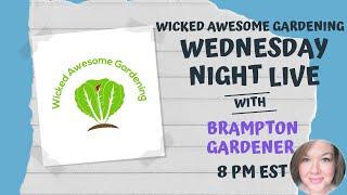 Wednesday Night Live - Special Guest Rachelle from Brampton Gardener