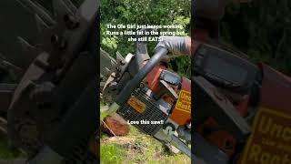 Stihl 046 “The Ole Girl” #stumping #stihl #fulltilt #chainsaw