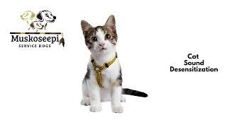 Cat Sound Desensitization for Dogs