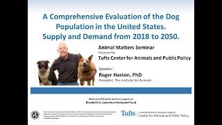Animal Matters: A Comprehensive Evaluation of the Dog Population in the United States.