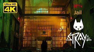 STRAY GAME WALKTHROUGH | CHAPTER 11 - JAIL | 4K60 UHD GAMEPLAY | GAMERS DIGEST