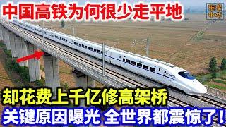 中国高铁为何很少走平地，却花费上千亿修高架桥，关键原因曝光，全世界都震惊了！#中国制造 #工程 #大国重器