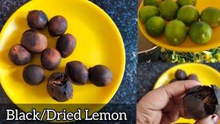 Homemade Black lemon/ Dried lemon/ A secret ingredient of Arabian Mandi Briyani