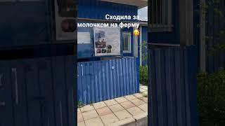На ферме #дети #двойня #двойняшки #малыши #близнецы #играем #игра #гуляем