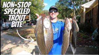 Non-Stop Speckled Trout Bite In Early Fall (Limiting Out Within Minutes) in Elizabeth River!