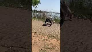 Push up challenge #endurance #athlete #pushups #challenge #shorts #outdoors #motivation