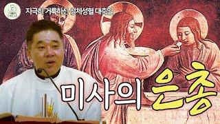 미사의 은총ㅣ최황진 라파엘 신부 수원교구 마도성당 지극히 거룩하신 그리스도의 성체 성혈 대축일 미사 강론 2025.6.22 떼제/천주교/가톨릭/신부님강의/가톨릭스튜디오