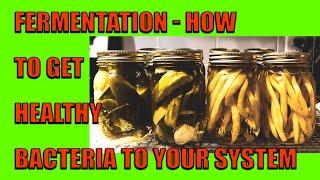 Fermentation; How To Get Healthy Bacteria To Your System - Dr. John Bergman D.C. & Jeannine Stewart