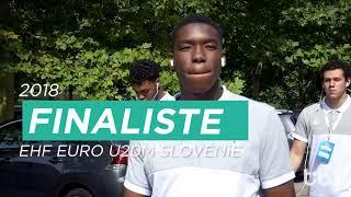 Dylan Nahi - Statistiques et Palmarès
