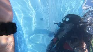 Amy's Scuba try out