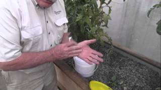 Buffer your Aquaponics system. AP Tech Talk