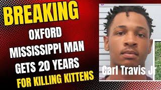 BREAKING: OXFORD MAN GETS 20 FOR KILLING KITTENS