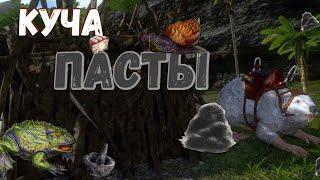 Цементная паста в ARK Mobile || Ark: Survival Evolved Mobile